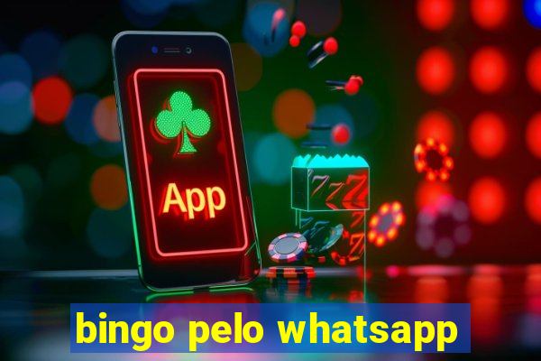 bingo pelo whatsapp